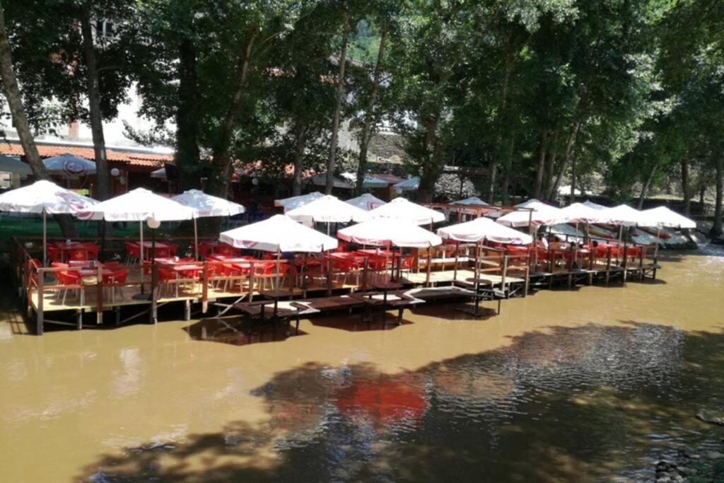 فيلا Casinha Dos Figueirais Góis المظهر الخارجي الصورة
